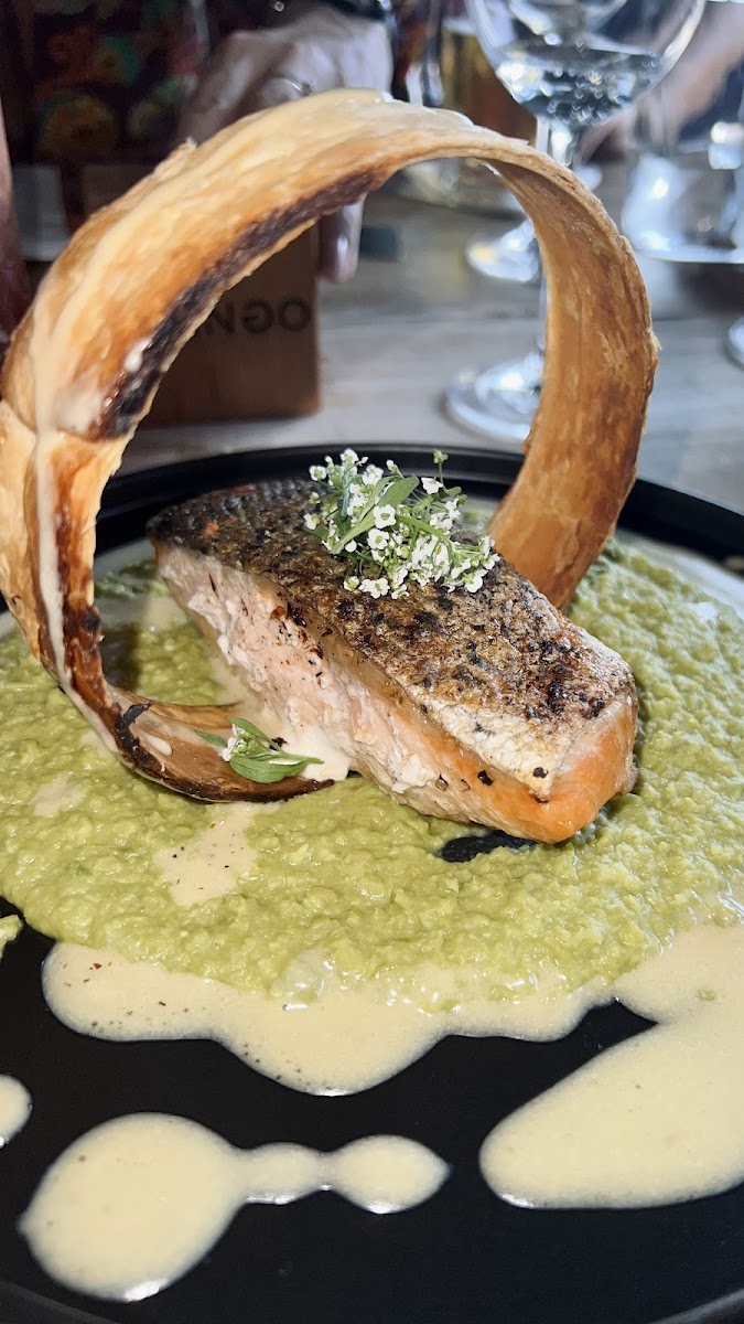 Mango Café Brazil-10