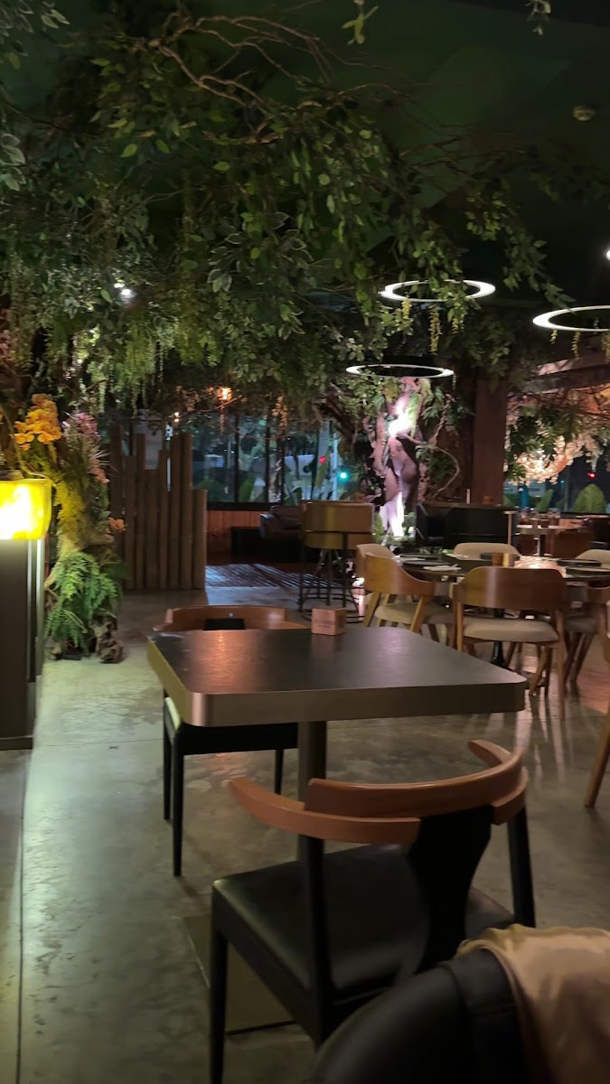 Mango Café Brazil-2