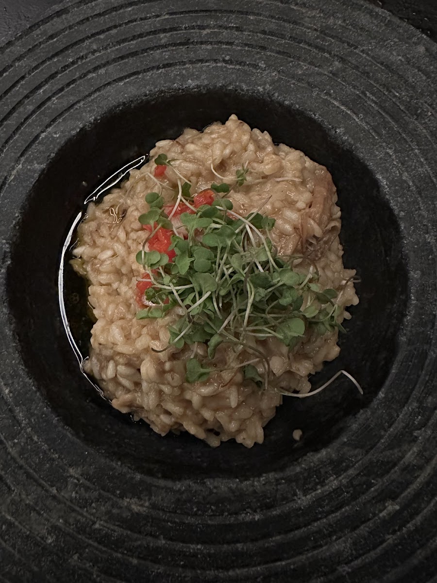 Mango Café Brazil-8